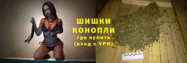 PSILOCYBIN Горняк
