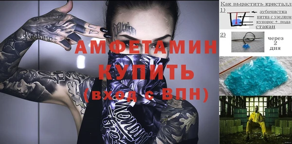 PSILOCYBIN Горняк