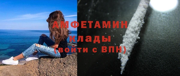 PSILOCYBIN Горняк